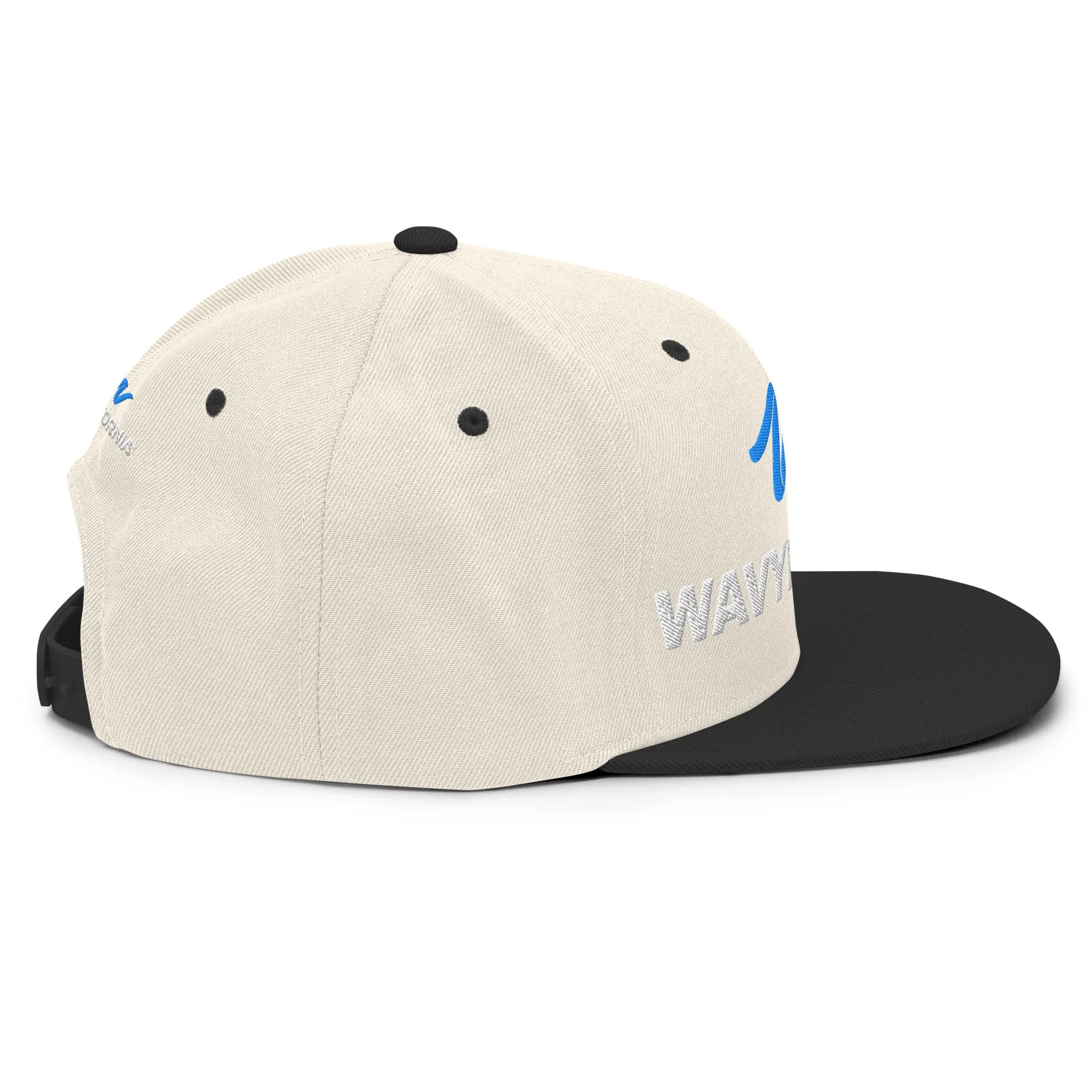 Classic Wave Snapback Hat