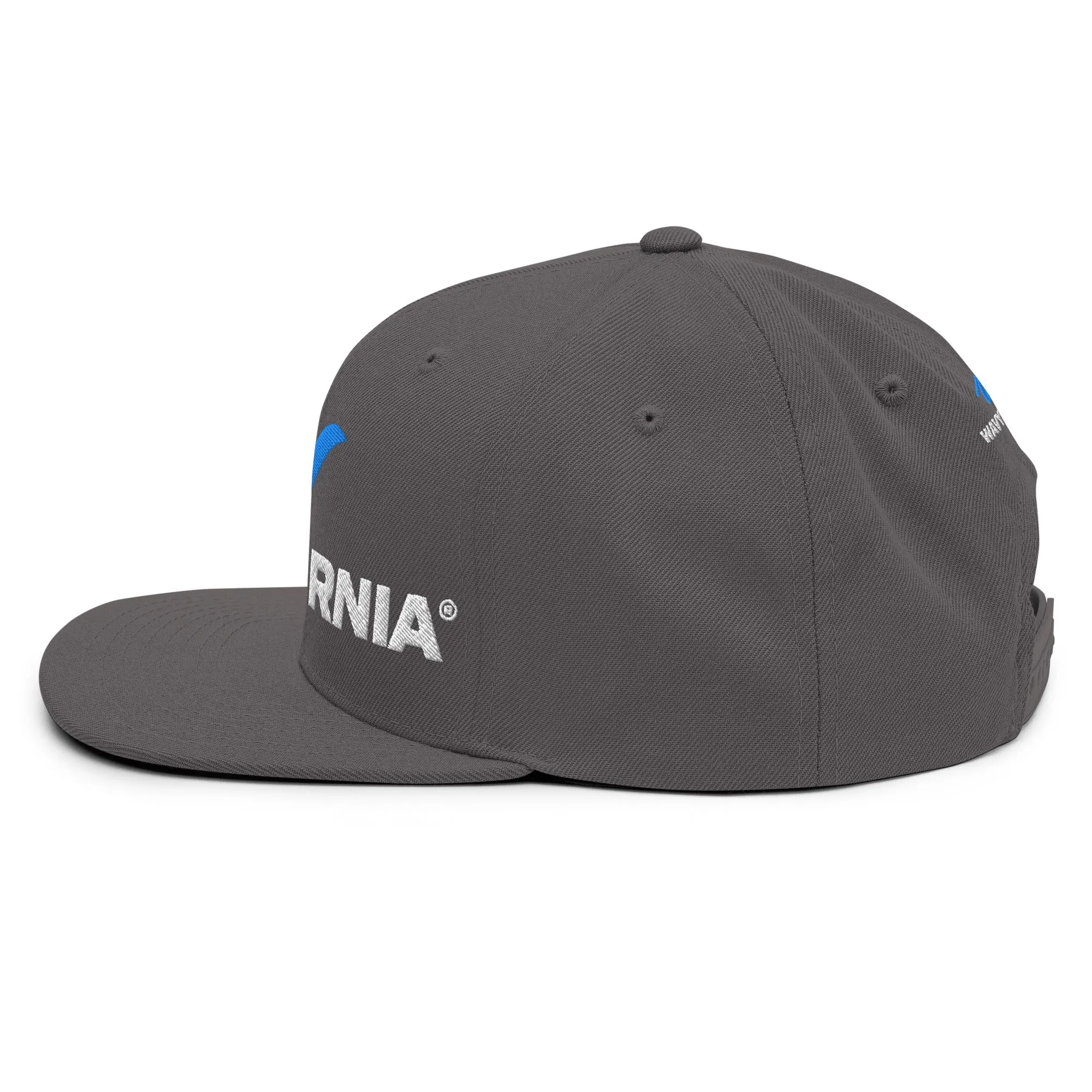 Classic Wave Snapback Hat