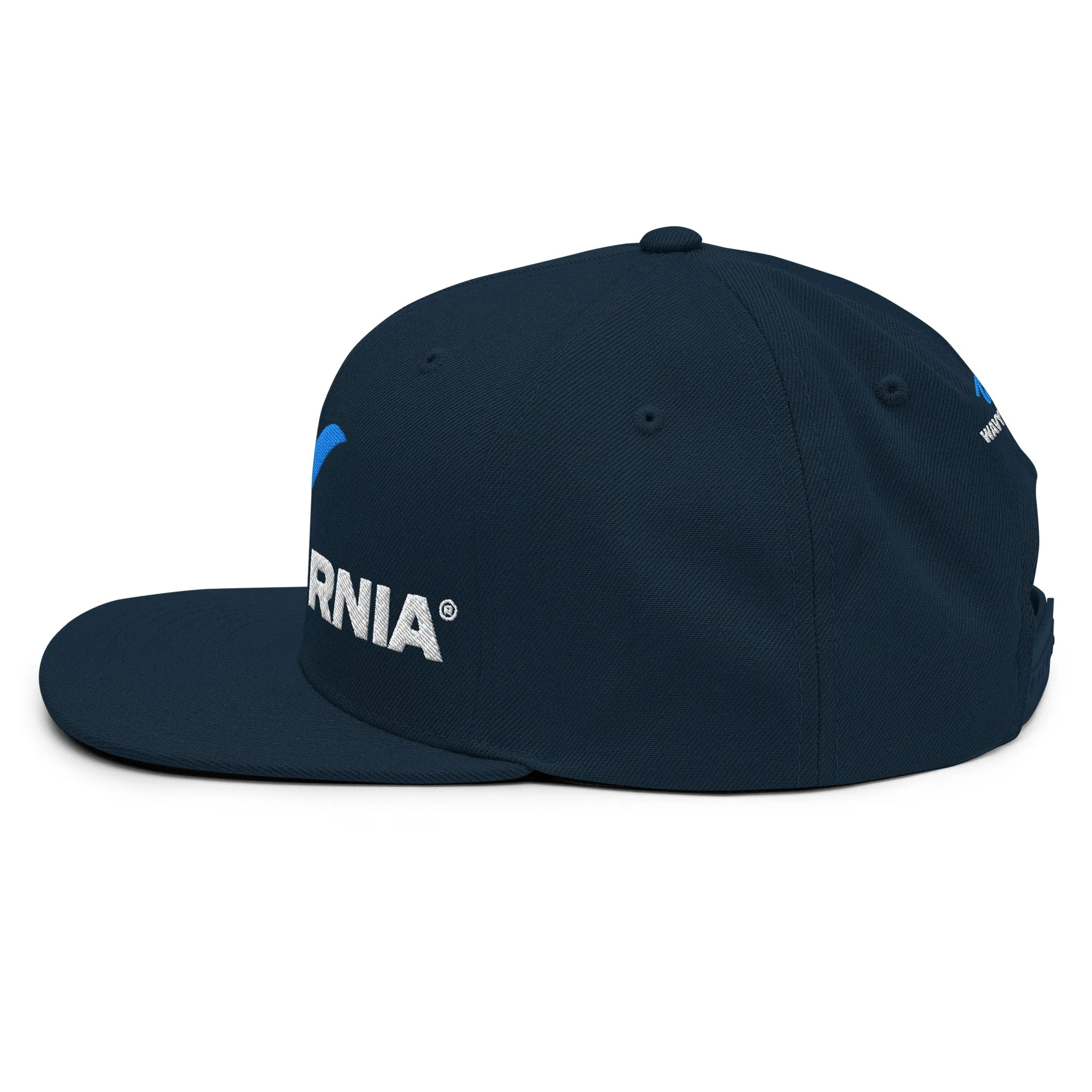 Classic Wave Snapback Hat