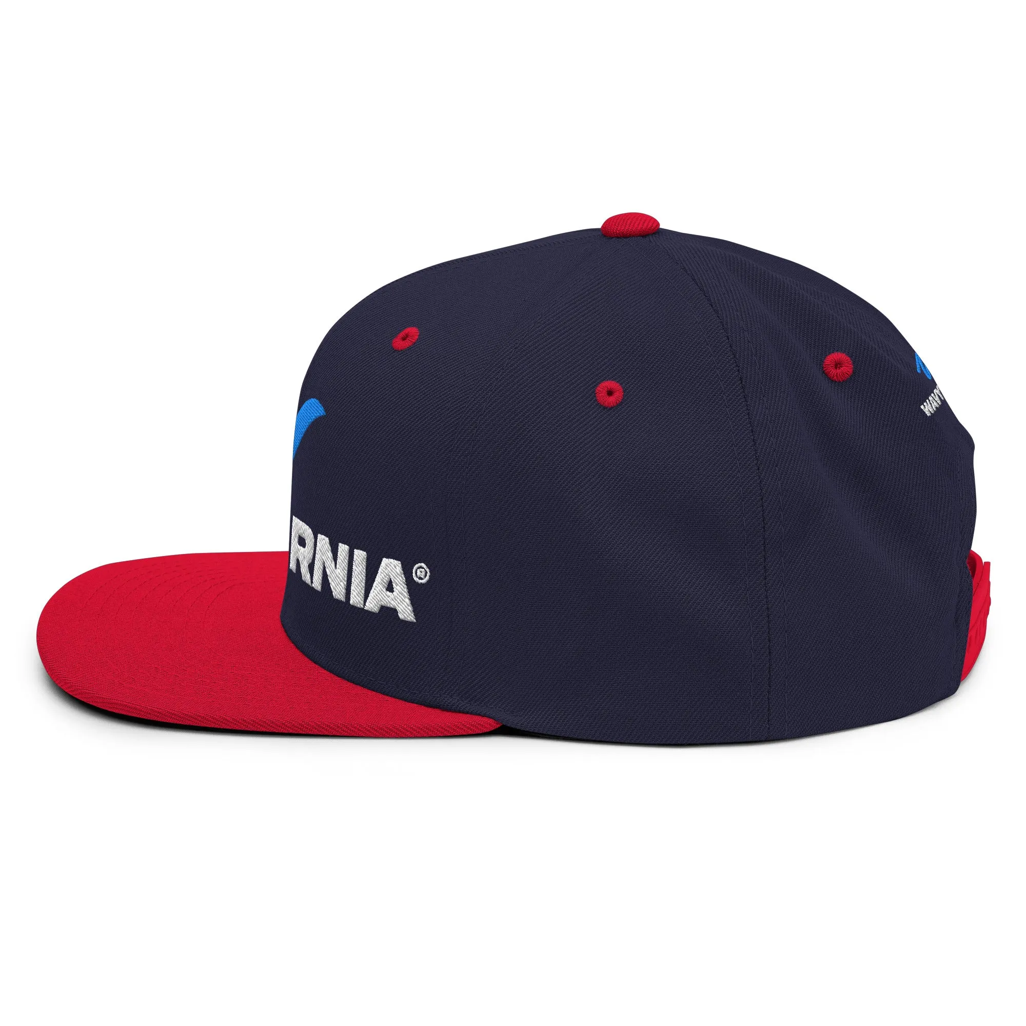 Classic Wave Snapback Hat