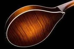Collings MT2 Mandolin