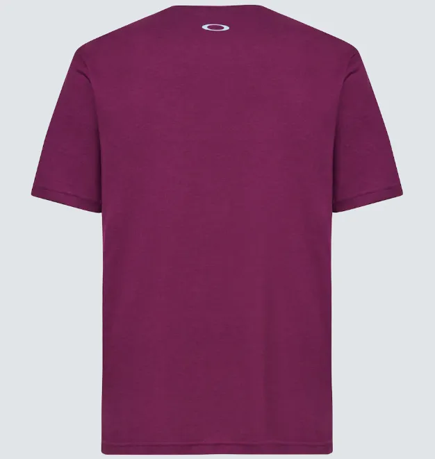 OAKLEY MENS MATTERHORN TEE