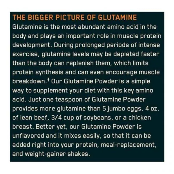 Optimum Nutrition Glutamine Powder 300g