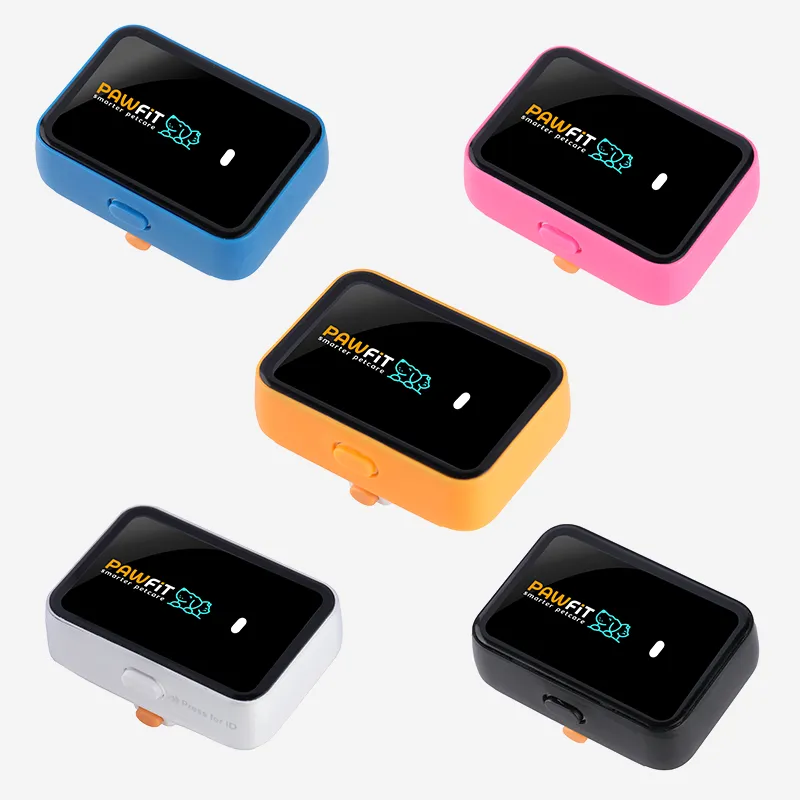Pawfit Leash