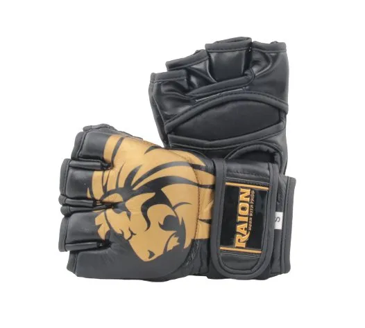 Raion MMA Gloves | Boxing Gloves | Training | Sparring Gloves | Safe and Comfy