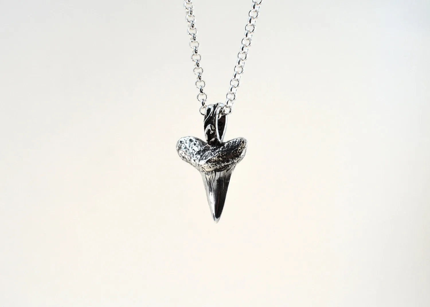 Shark Tooth Necklace