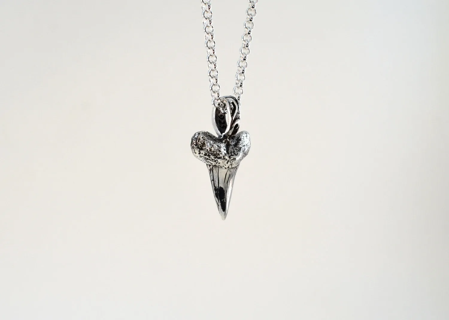 Shark Tooth Necklace