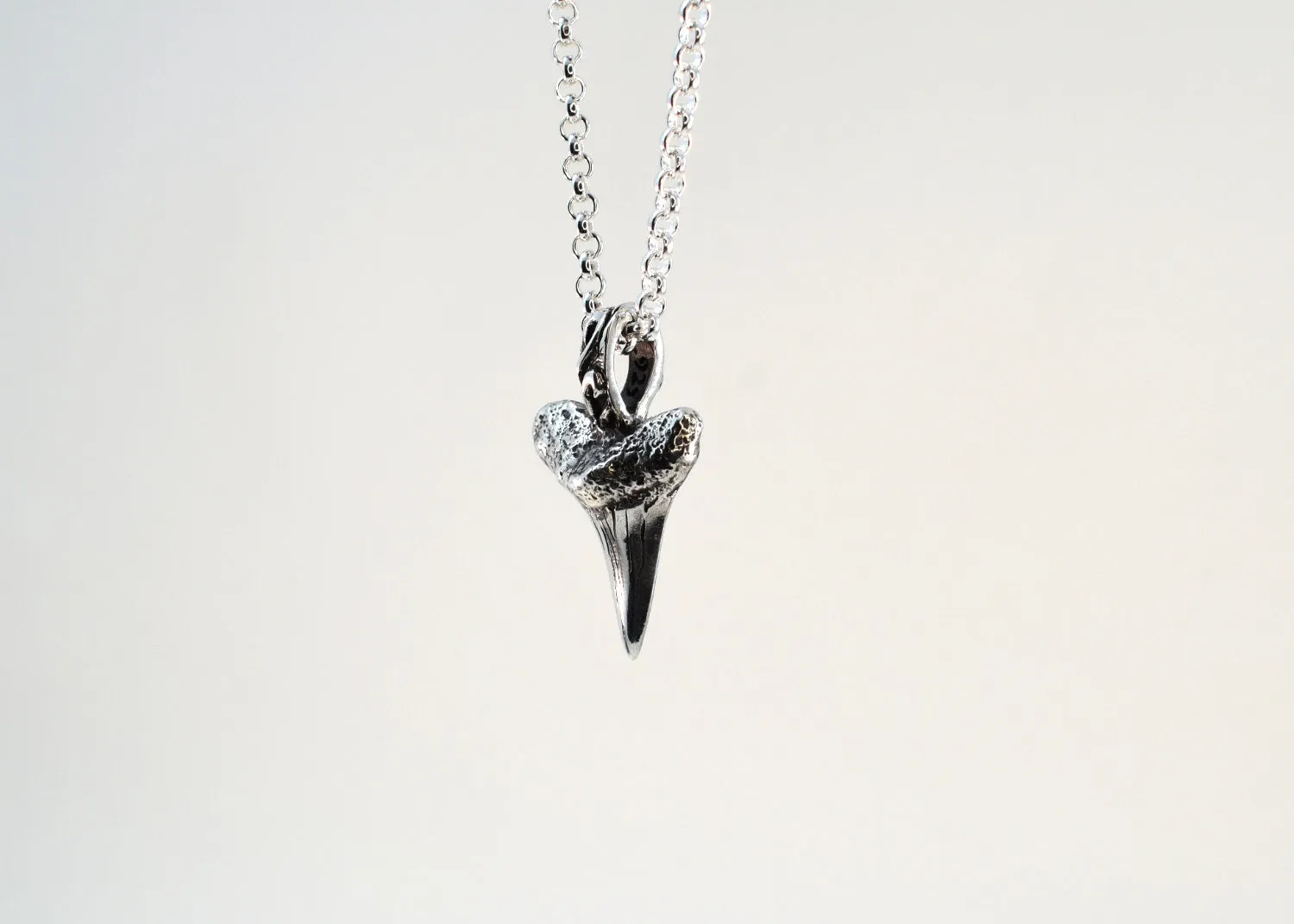 Shark Tooth Necklace