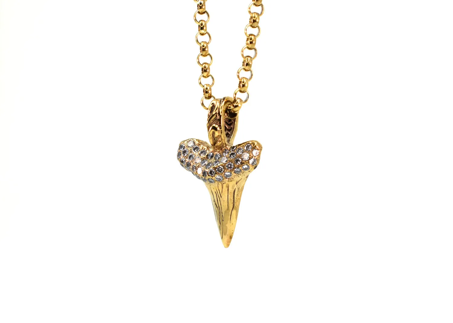Shark Tooth Necklace