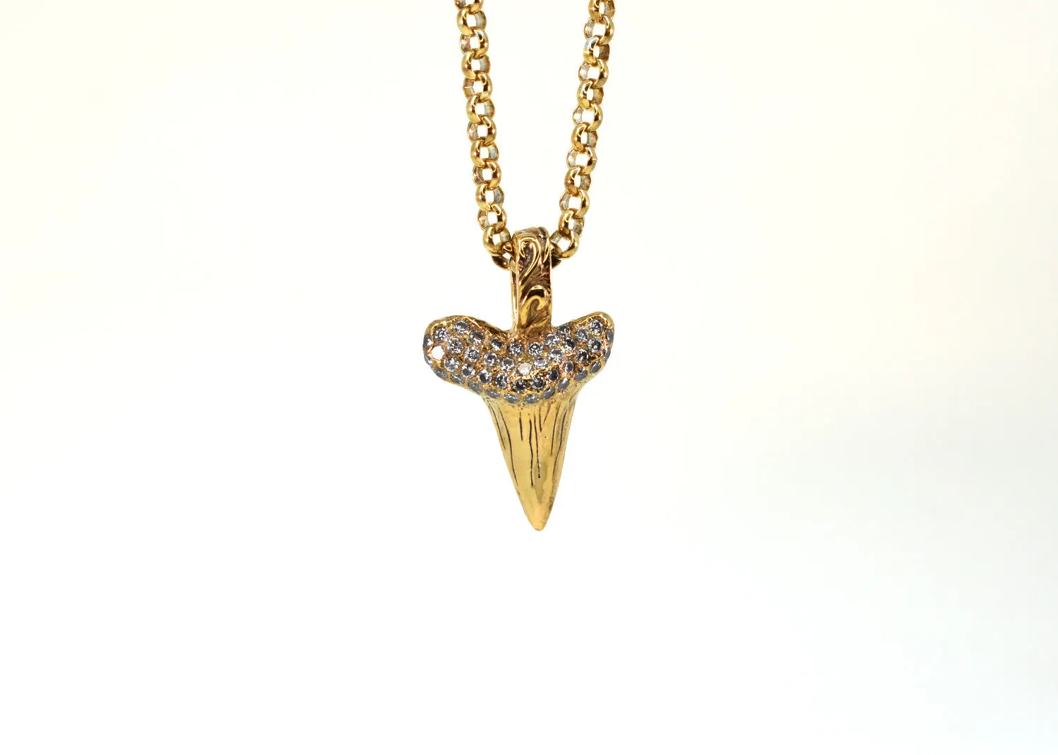 Shark Tooth Necklace