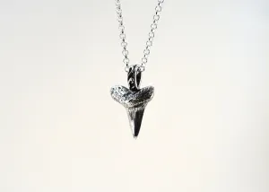 Shark Tooth Necklace