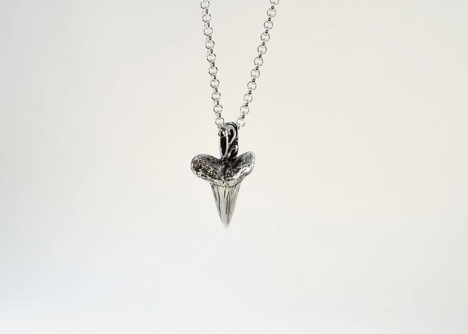 Shark Tooth Necklace